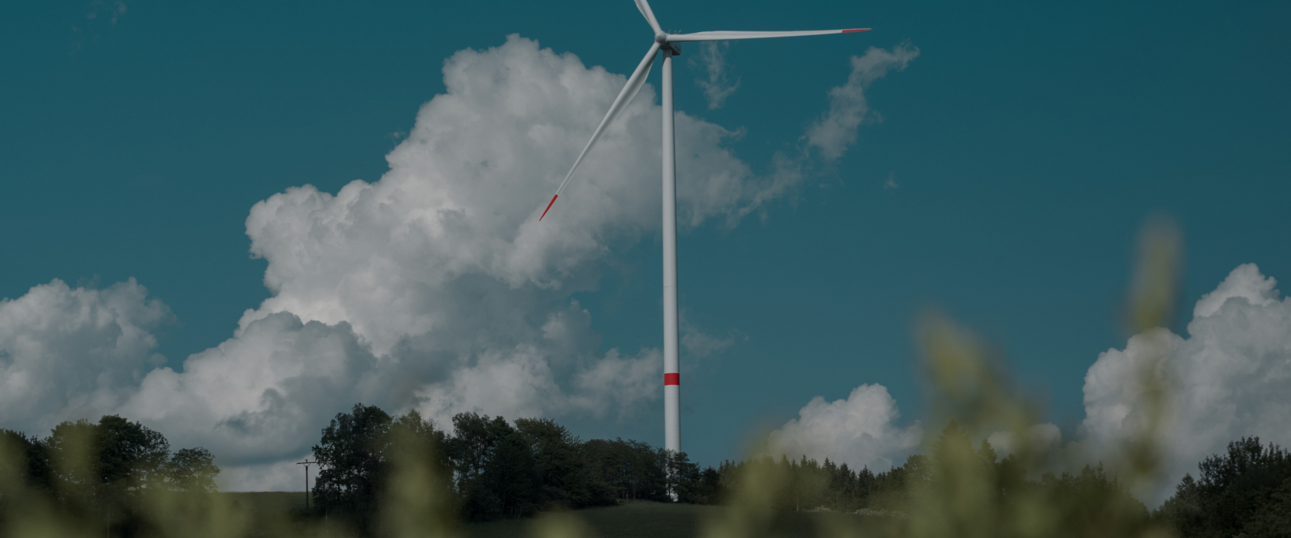 Plastic Consult for Assobioplastics - The compostable polymer supply chain - Data 2024