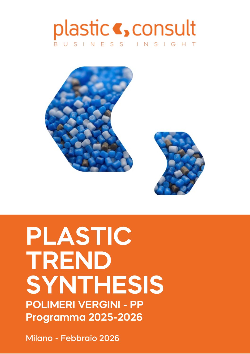 PtS 2026 Virgin Polymers_Section 6_PP
